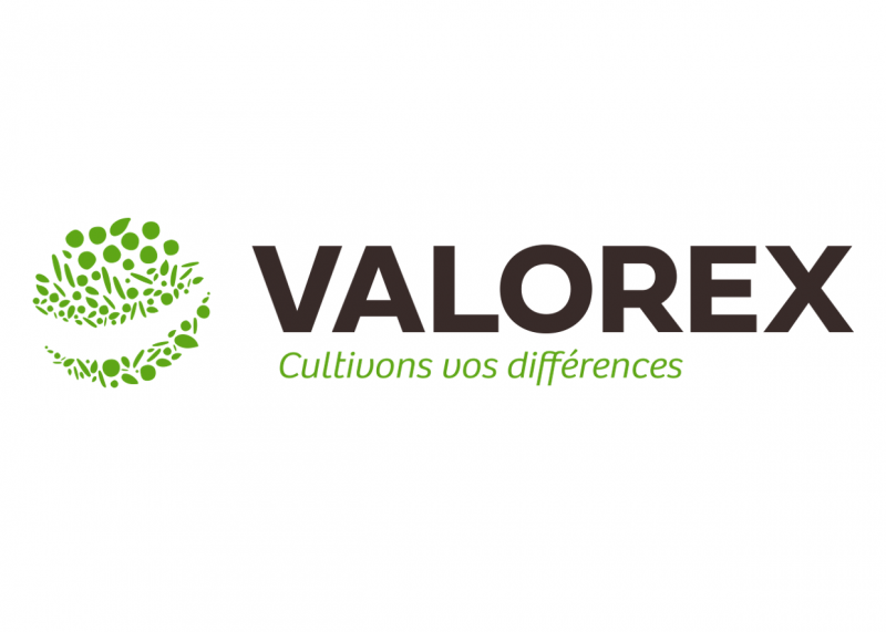 Logo_Valorex_siteweb
